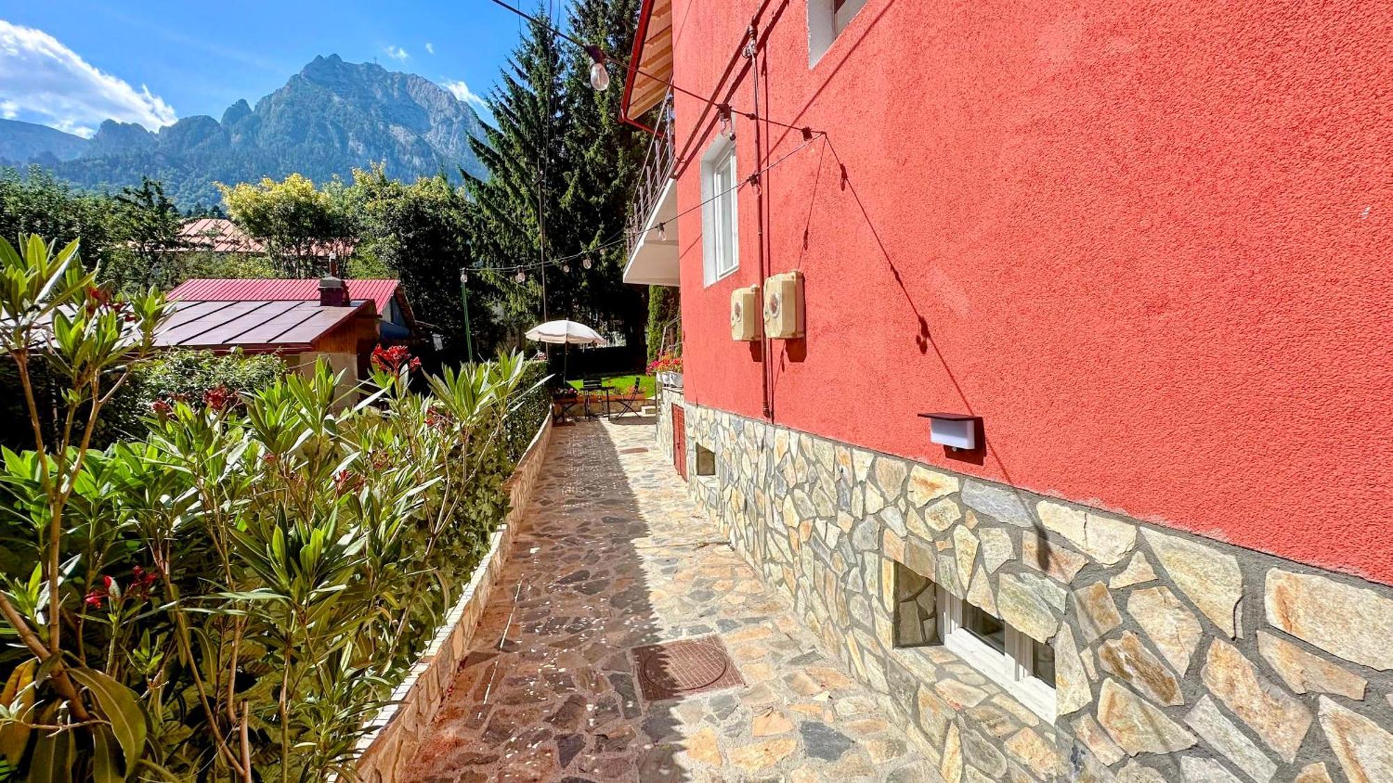 Valea Alba View - Self Check-In Hotell Buşteni Exteriör bild
