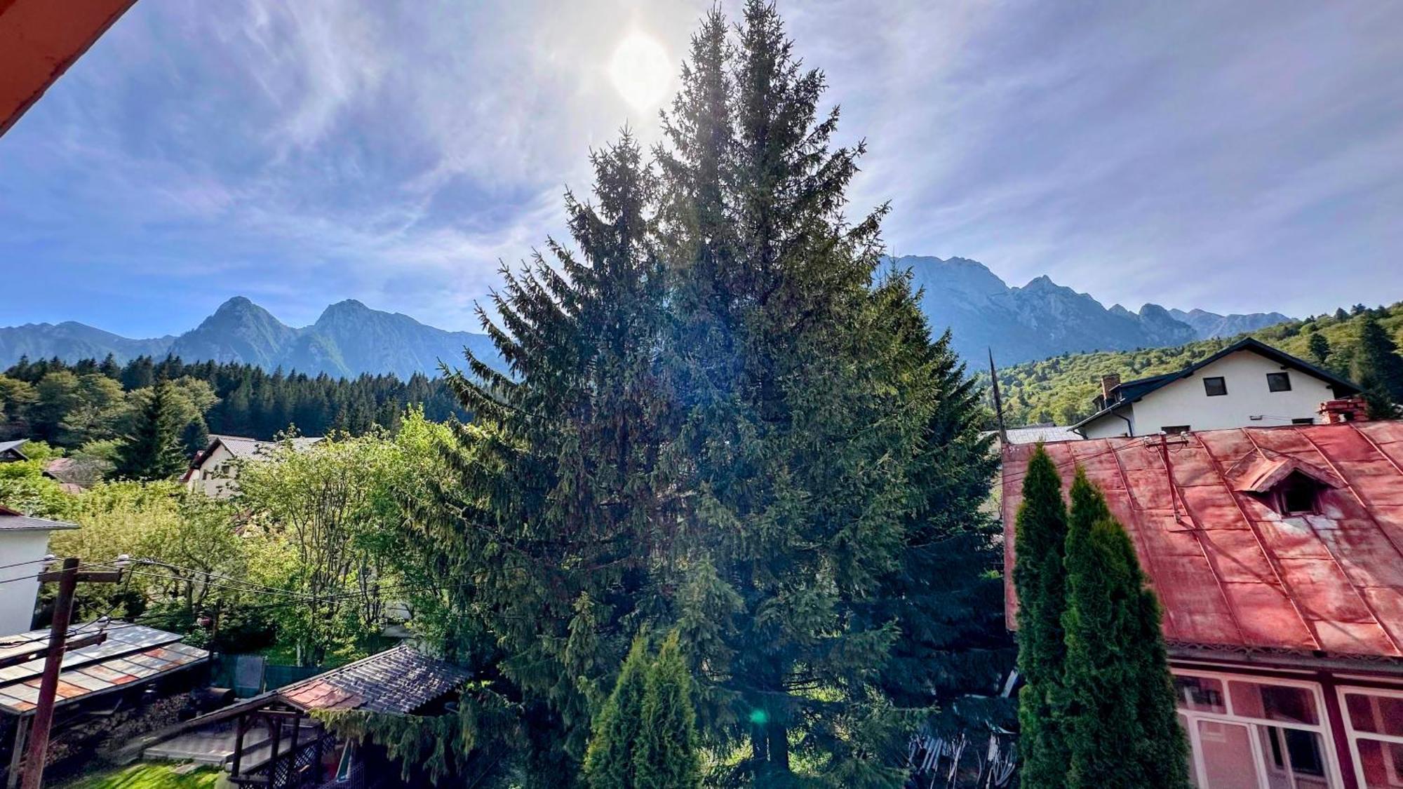 Valea Alba View - Self Check-In Hotell Buşteni Exteriör bild