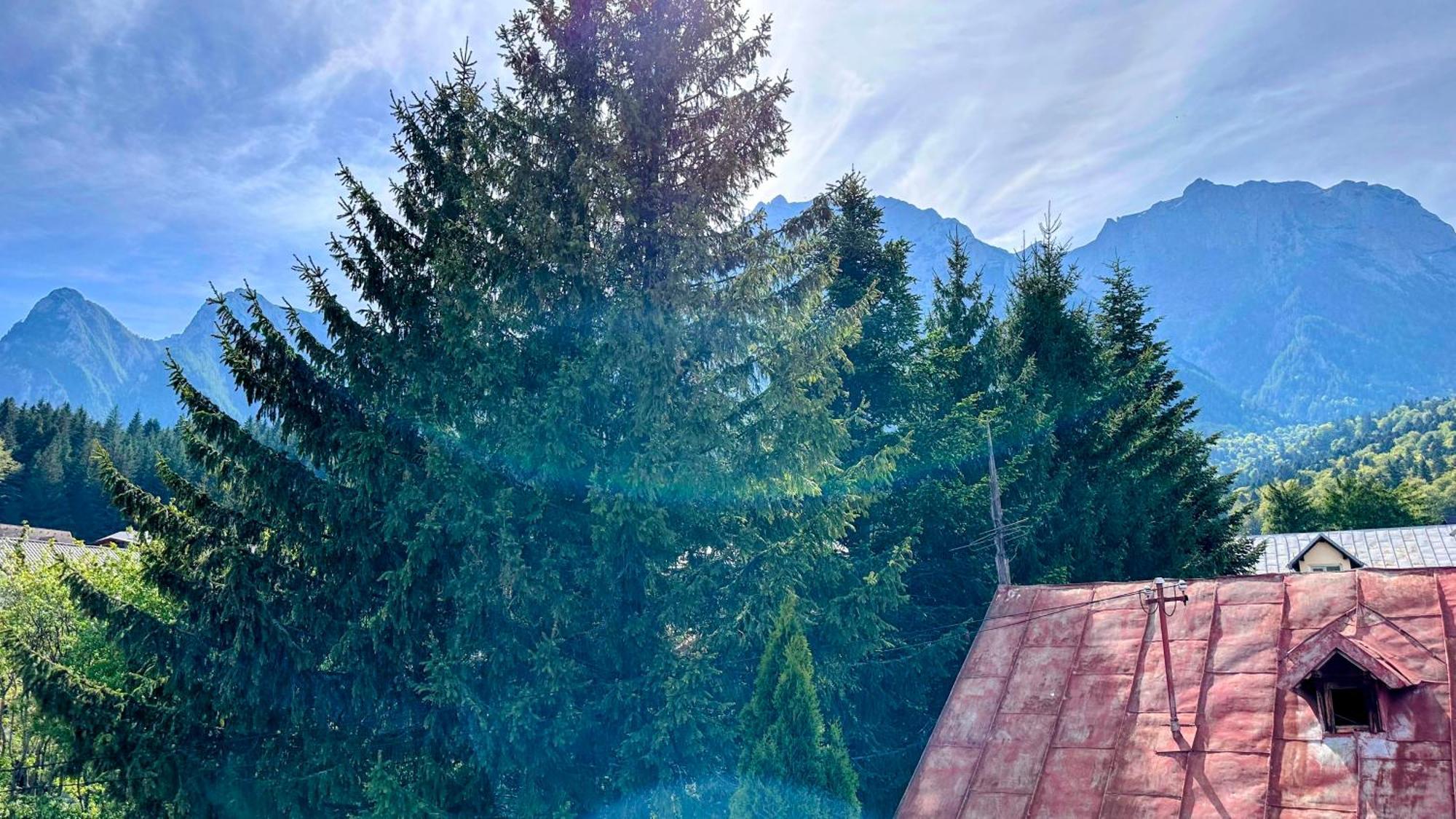 Valea Alba View - Self Check-In Hotell Buşteni Exteriör bild